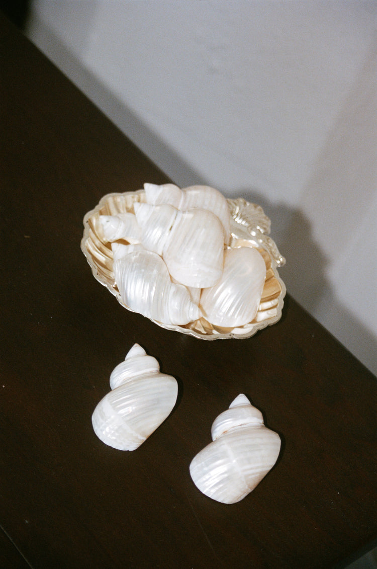 Seashell Napkin Ring Holders Set of 8