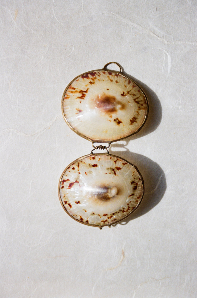 Limpet Sea Shell Pill Box
