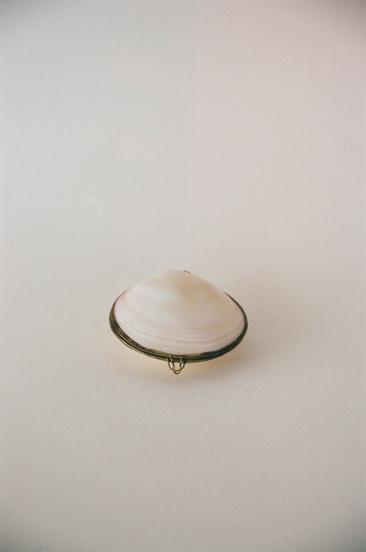 Cream and Blush Shell Pill Box