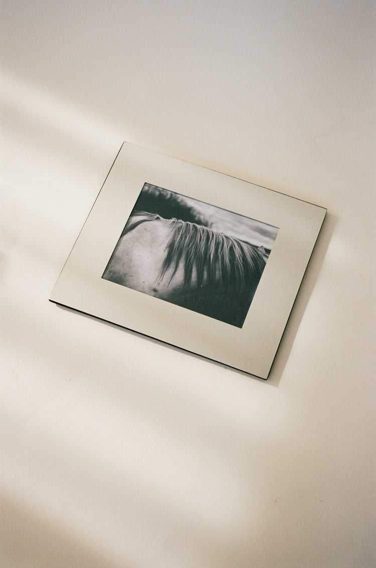 Framed Black and White Horse Photograph