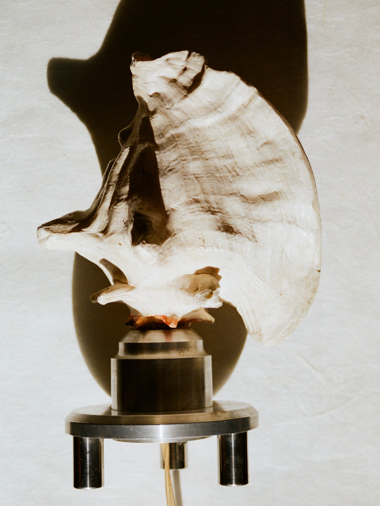 1960s Shell Lamp with Steel Base