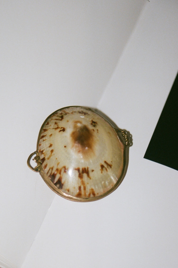 Vintage Limpet Shell Pill or Stash Box