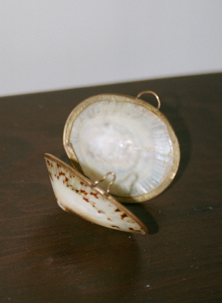 Vintage Limpet Shell Pill or Stash Box