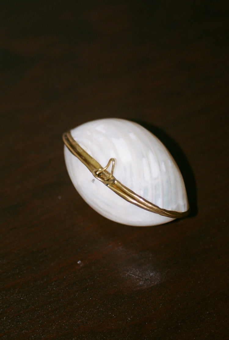 Shell Pill or Stash Box