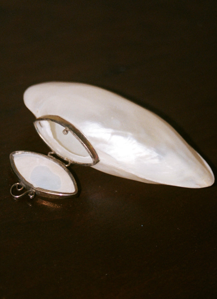 Vintage Shell Pill or Stash Box
