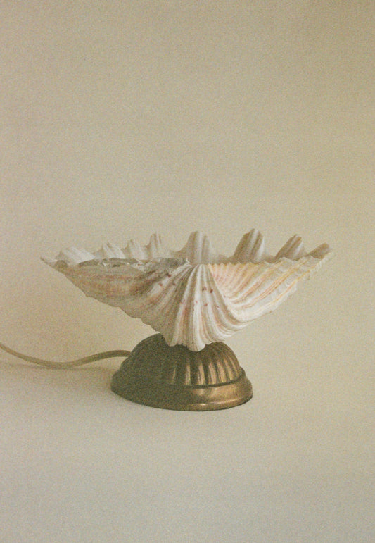 Vintage Shell Lamp with Brass Base, Sourced in Paris