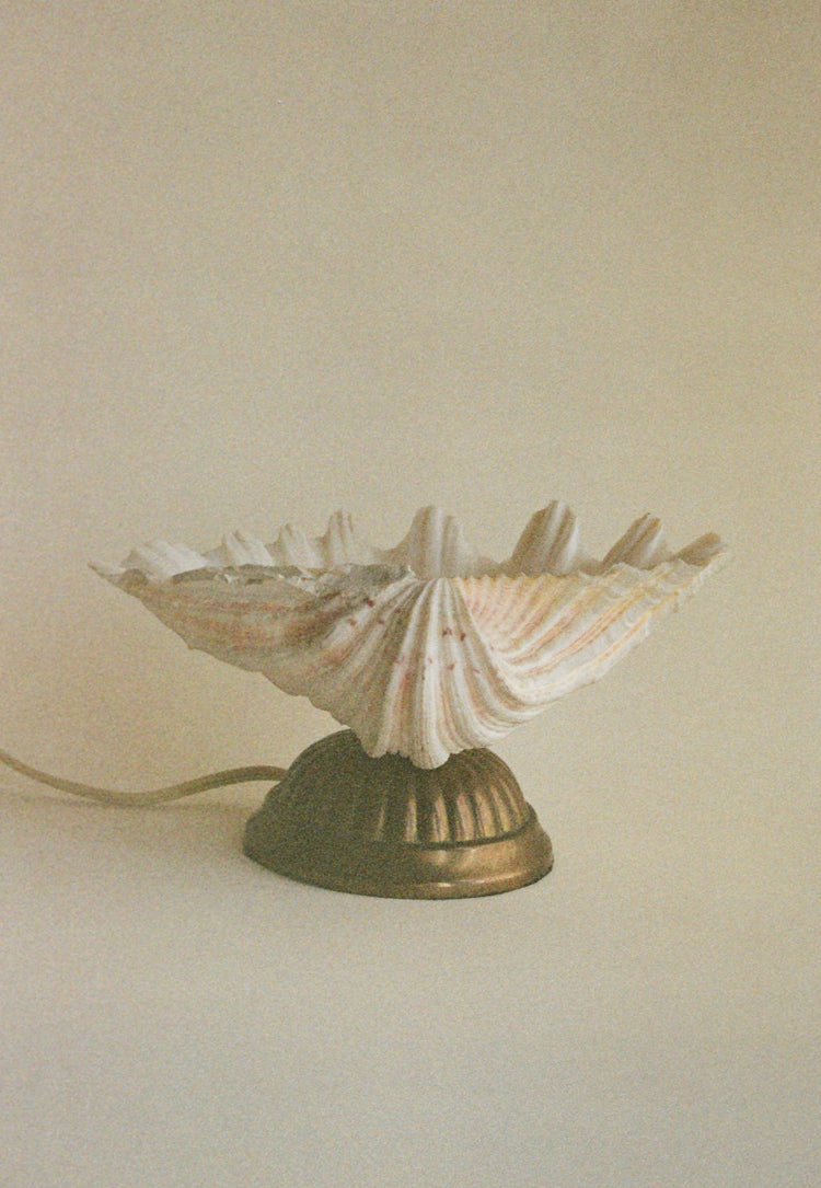 Vintage Shell Lamp with Brass Base, Sourced in Paris