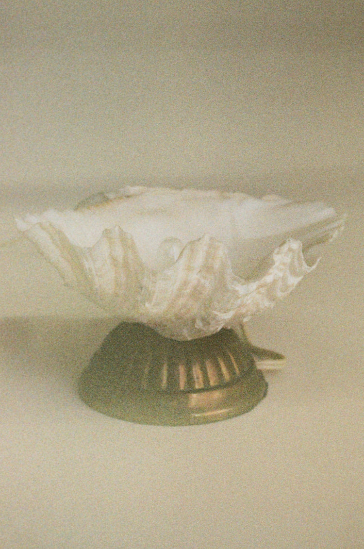 Vintage Shell Lamp with Brass Base, Sourced in Paris