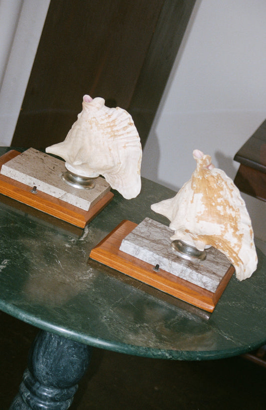 Pair of Shell Table Lamps