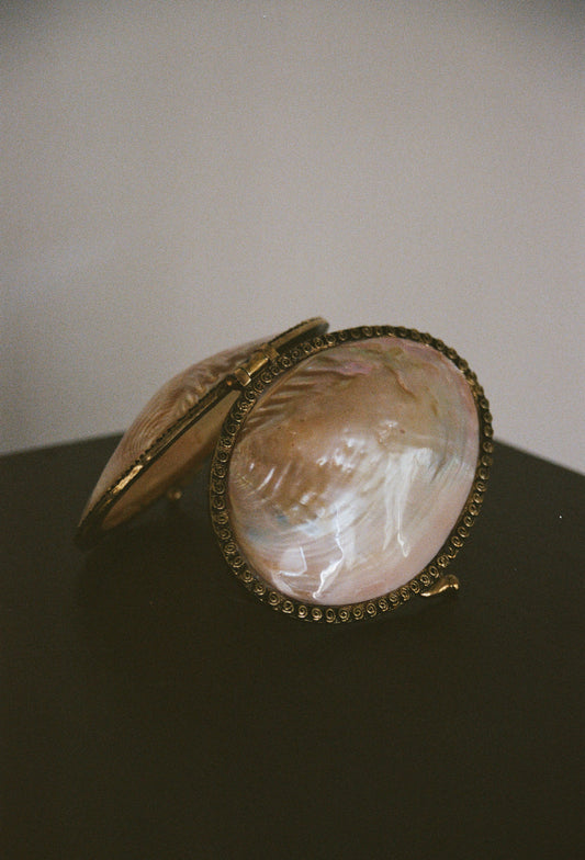 Vintage Mother of Pearl Clutch