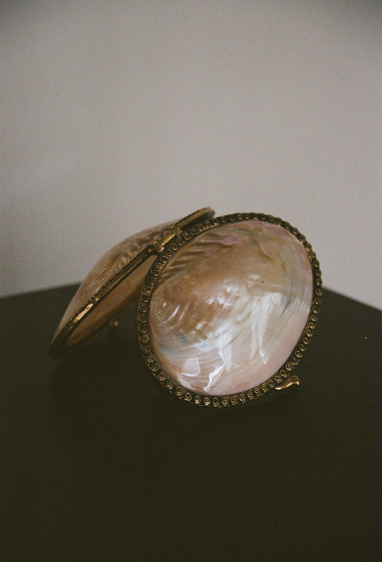Vintage Mother of Pearl Clutch