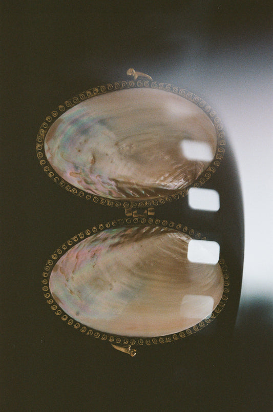 Vintage Mother of Pearl Clutch