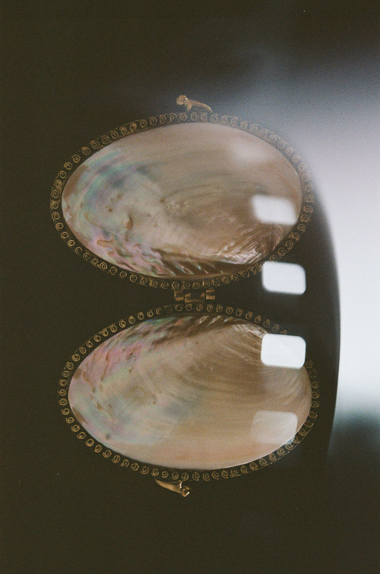 Vintage Mother of Pearl Clutch