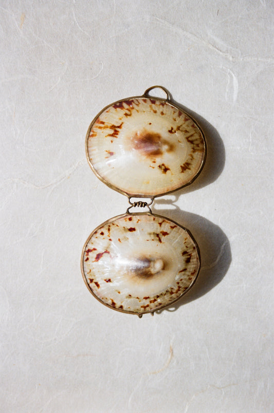Limpet Sea Shell Pill Box
