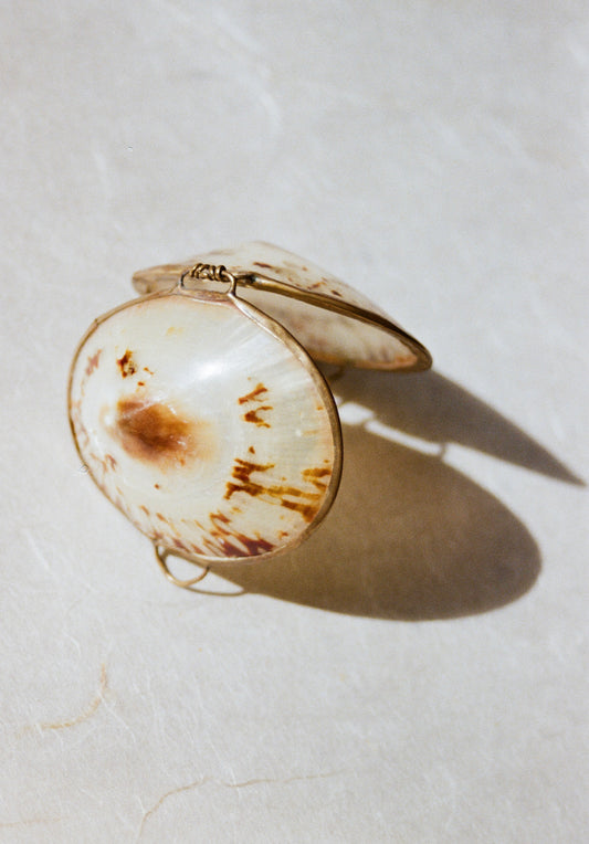 Limpet Sea Shell Pill Box
