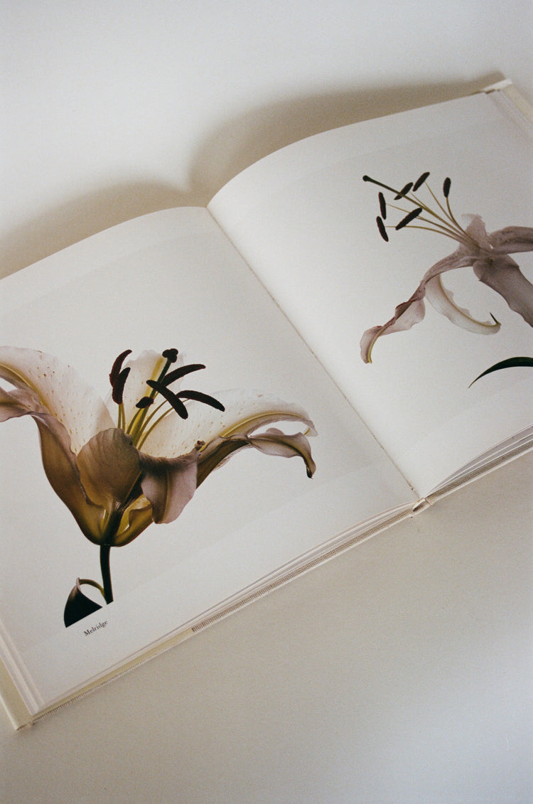 Flowers by Irving Penn