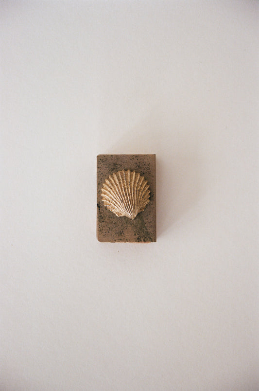Antique Shell Matchbox