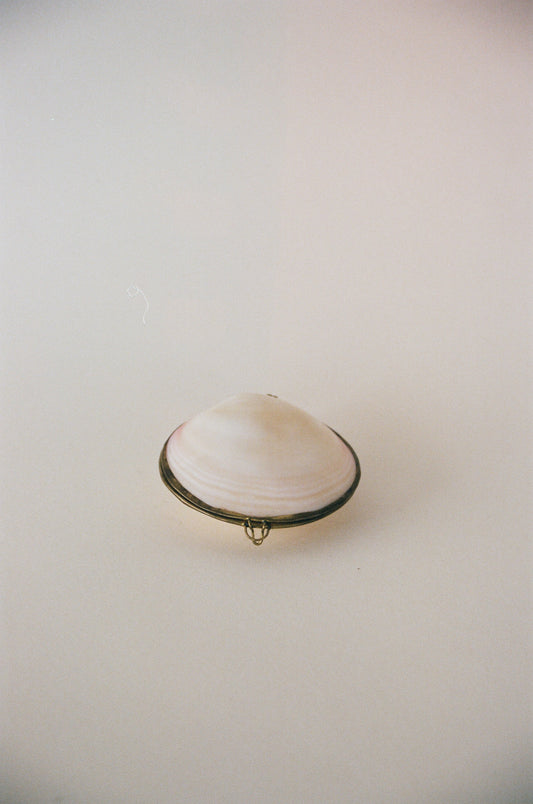 Cream and Blush Shell Pill Box