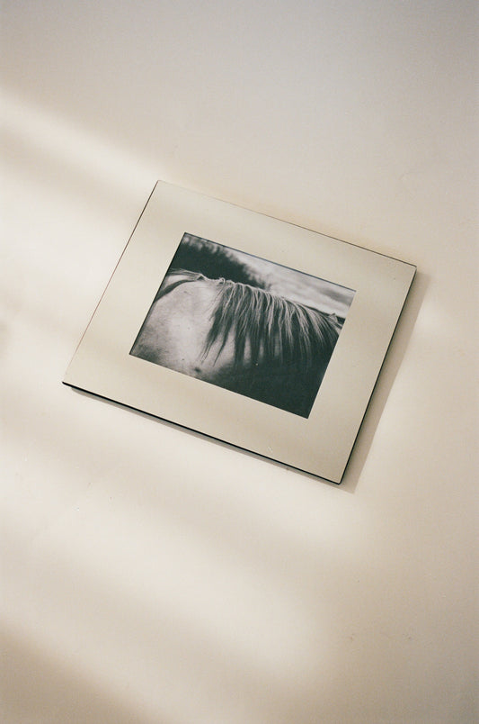 Framed Black and White Horse Photograph