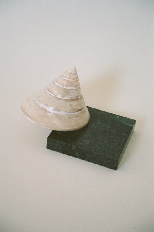 Swivel-Mounted Shell Sculpture