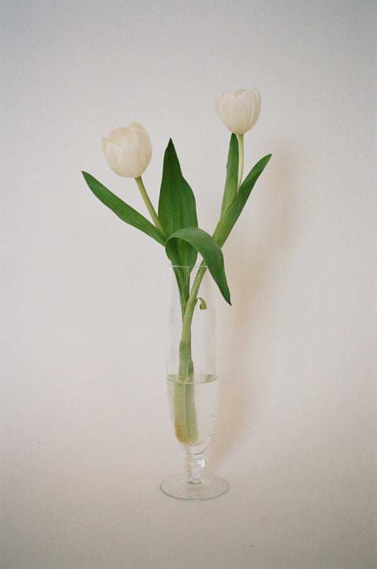 Fluted Glass Bud Vase