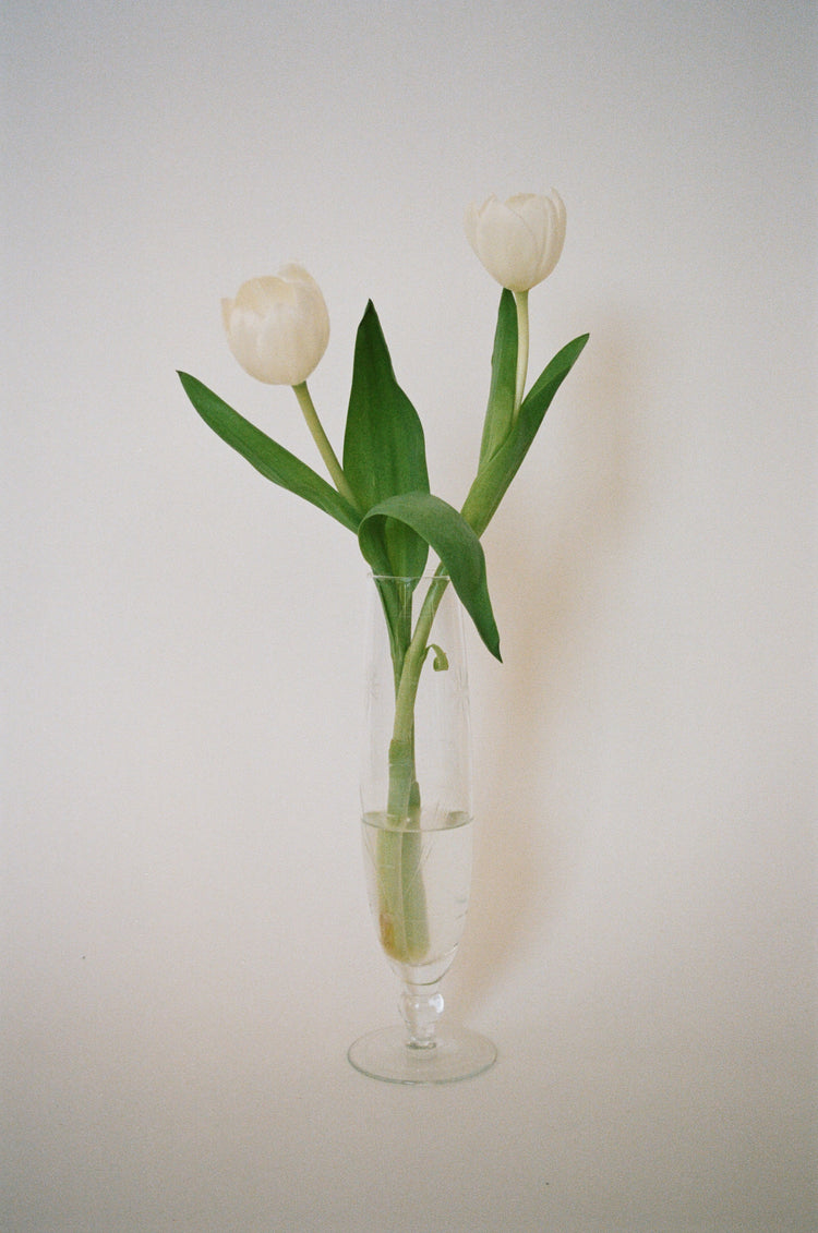Fluted Glass Bud Vase