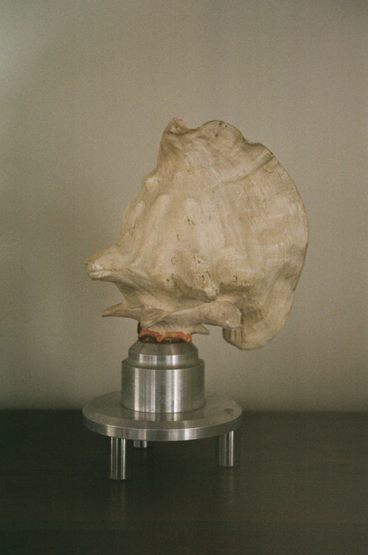 1960s Shell Lamp with Steel Base