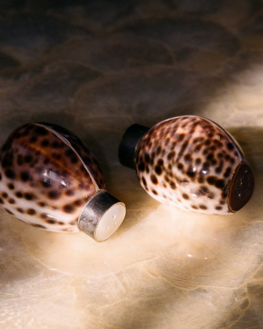 Cypraea Tigris Pardalis Shell Salt and Pepper Shakers