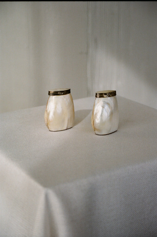 Vintage Mother of Pearl Salt and Pepper Shakers