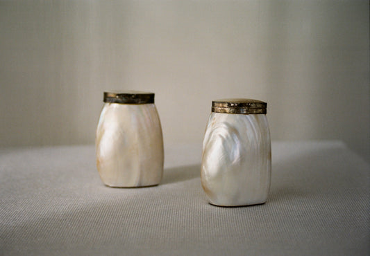 Vintage Mother of Pearl Salt and Pepper Shakers